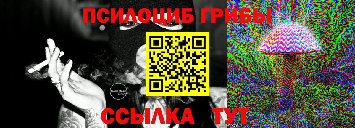 Галлюциногенные грибы прущие грибы Полысаево