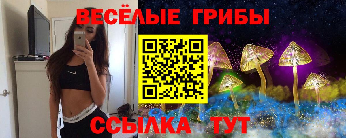 Полысаево  Псилоцибиновые грибы MAGIC MUSHROOMS  Вход с VPN 